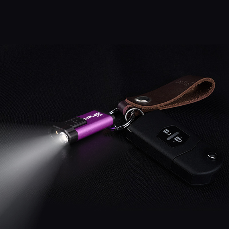 Lampe de poche porte-clés de désinfection UVC
